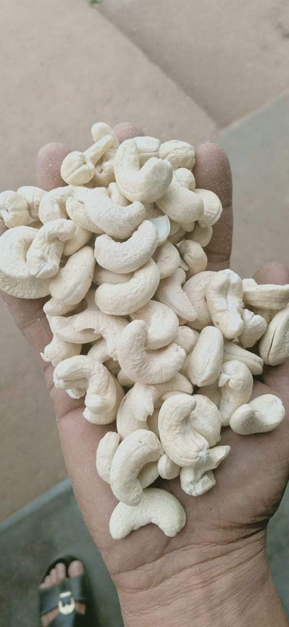 Quality Processed Cashew Kernels For Sale -  advertising new products available cashew kernel for sale all grade at best price--commodity-  processed cashew kernel--nut size  -  grades w320 , w240 ,  w180 , w210 & w450--processing time -  --moisture- 5% maximum--extraneous matter- 0.5% max--process type -  organic--color-  white--foreign matter-  1%--broken  -  3%--out t