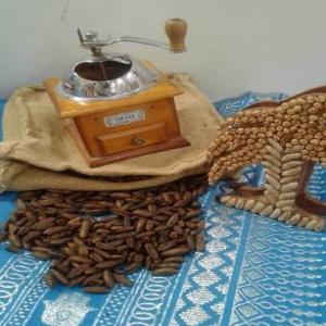 Café arabe au noix du dattes  - café cacao thé une produit très intéressant très beau et préparé avec soin avec des méthodes traditionnelles café arabe au noix du dattes très délicieuses et bonne pour la santé 