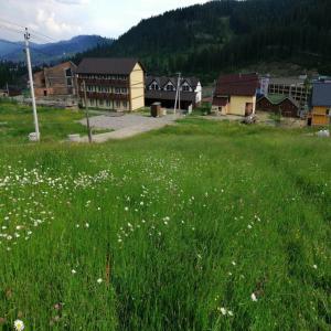 Une parcelle dans la zone touristique - mine terrain concession la parcelle se trouve dans la zone touristique boukovel,  il y a l'éléctricité et le fournissement de l'eau. avec une perspective d'élargissement.