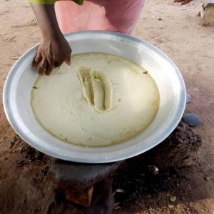 Beurre de karité, Noix de cajou sec, café - transport transit logistique nous sommes à la recherche des clients qui sont pret à faire des commandes pour l'achat du beurre de karité,  noix de cajou sec et tous les céréales disponibles au togo