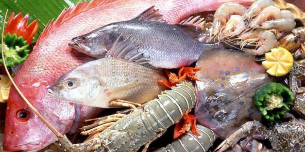 poissonneries d'excellente qualité - poissons nous somme une société de négoce implantée à la tunisie et on fait la distribution des produits de poissonneries d'excellente qualité et d'autres produits 