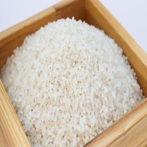 VENTE EN GROS RIZ THAÏLANDAIS