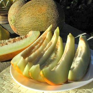 Melon Cat.1 Torpedoes - fruits et légumes melon catégorie 1 torpedoes (grands jaunes un peu allongés) origine ouzbekistan,  visite possible.  --possible livraison dans toute l'europe. --