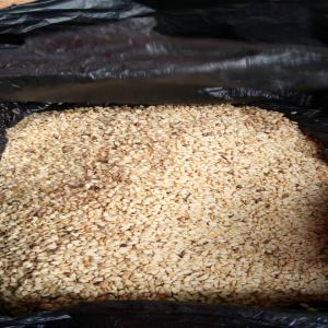 We are supplier of sesame seeds ,cashew kernel,   - roasted seeds and nuts sesame seeds of all color available for sale looking to enter into partnership with companies to our products at very affordable prices we start supplier at every season of they for each origin at affordable prices