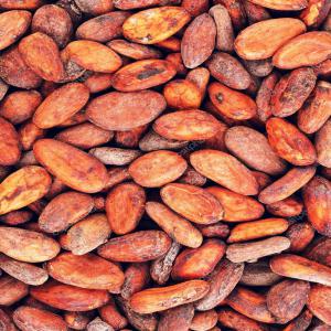 Besoin de Cacao et Thé de bonne qualité