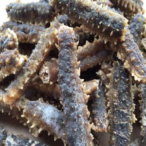 Dry Sea Cucumber / Concombre de mer sèche