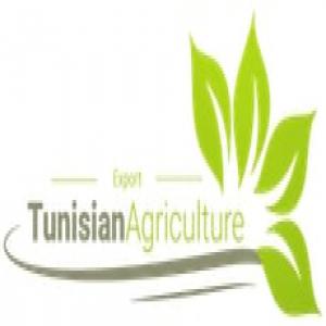 exportateur de produits agroalimentaire - fruits et légumes on est une société d'export ayant la représentation de la meilleure huile en tunisie.--nous avons aussi créé notre réseau d'agriculteurs qui nous fournissent différents produits selon la saison. pour le moment on a une très grande quantit&eacut