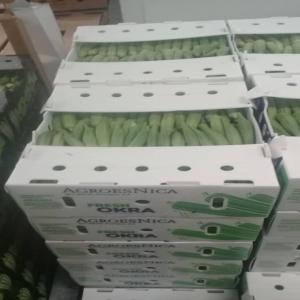 Gombo - fruits et légumes nous avons du gombo de la variété cleamson disponible au bénin.  nous sommes à la recherche des acheteurs sérieux,  fiables et dynamiques. nous joindre via notre coordonnée sera un atout.