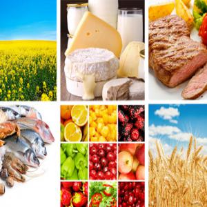 Produits agroalimentaire en grandes quantités - autres bonjour, ----on cherche plusieurs produits agroalimentaires en grandes quantité. donnez nous vos offres avec prix indiqué par tonne et les frais de transport par bâteau. merci