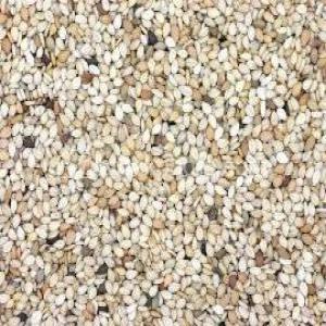 sesame - fruits secs et graines grillées we have good sésame from burkina faso and very good quality.you can contact us .we accepte lc  (cif and fob)