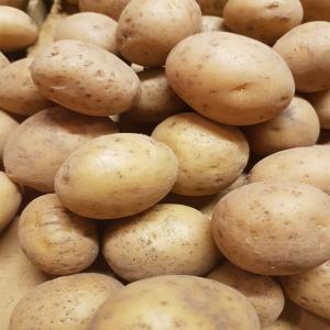 Pomme de Terre des Sables de Camargue (Nouvelle) - fruits et légumes bonjour,  nous venons de récolter la pomme de terre des sables produite à aigues-mortes au cœur de la camargue. très appréciées des grandes tables et familles pour son gout exceptionnel et sa qualité gustative. produit d'exception elle est recherch&eacu