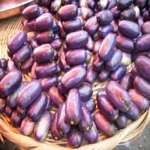 Prune - fruits et légumes exportation de 200 kg de prune autrement appelés safou ou atanga,  du cameroun au sénégal à commercialiser pour une phase test.