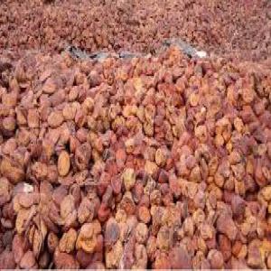 250 TONNES D'HEVEA A SAN PEDRO  - café cacao thé nous sommes la société coopérative scia-scoops.--nous disposons en ce moment de 250 tonnes de fonds de tasses .--nous recherchons des acheteurs crédibles pour la commercialisation des fonds de tasses .--nb---san pedro--possibilité de livrer 150 tonnes par mois .--c