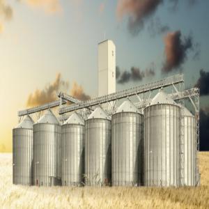 metallic silos.  - packaging we are looking for a partner for the realization of metallic silos of 30.000 capacity each for the storage of durum wheat,  soft wheat and barley. we are looking for a manufacturer with great experience in this field.