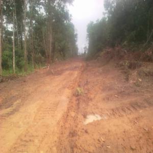 Terrain à vendre - mine terrain concession terrain à vendre à edea sur la route edea/kribi. à 2, 5 km du centre ville. terrain titré  en phase de lotissement. bien placé pour construction des logements et hangars 