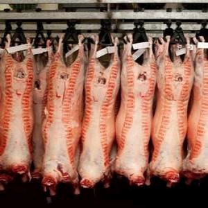 Porc Meat  - meat and eggs we supply with pork meat from europe and we are able to supply in vietnam,  hongkong. we accept visit of factory before signing contract. contact us directly for your requirements. thanks 