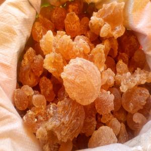 Gomme Arabique  - fruits secs et graines grillées vente de gomme arabique en grande quantité --nous sommes situés à niamey (niger) --nous possédons un produit de très bonne qualité --n'hésitez pas à nous contacter 