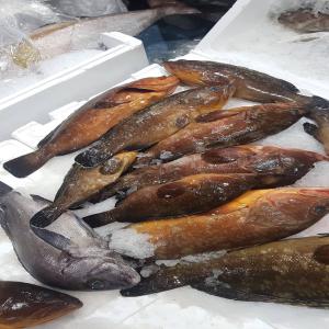 Exportations produits de la mer  - poissons you are an importer..you are a wholesaler or restaurant...you need fish from senegal then...we are we area.  all types of seafood products... from the atlantic coast... call us whatsapp or email us... our company is reputed 1--grouper...dentex. rassecasse calmar octopus 