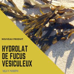 Hydrolat  de Fucus vesiculosus   - matiere vegetale hydrolat  de fucus vesiculosus  --nous distillons une quantité annuelle de 60 litres--origine- portugal