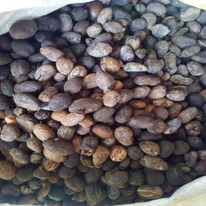 Noix de Karité - fruits secs et graines grillées je cherche des acheteurs de noix de karité dont les stocks sont disponibles au burkina faso.--si vous etes intéressés veuillez me contacter pour plus de détails--cordialement 