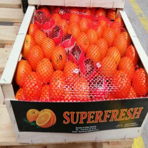 export vegetables & fruits - fruits and vegetables hello dears,  is now the season for orange variety clementine in morocco. please contact us for your requirements