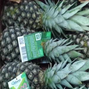 Vente d'ananas  - fruits secs et graines grillées bonjour chers membres ,  nous disposons d'une très bonne qualité d'ananas de bonne cayenne . nous cherchons des acheteurs sérieux pour la vente .--nb - intermédiaire s'abstenir --