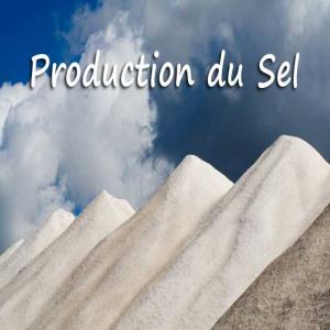 Sels alimentaires sels dénigrements  - épices aromates on est une société qui est basée en egypt en cherche des clients potentiels dans le monde pour commercialiser notre sels alimentaires ou autre sels pour le déneigement. me contacter pour plus de détails. 