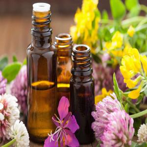 Cherche des Clients - huiles salut, --nous sommes une société spécialisé dans la production et l'exportation des plantes aromatiques et médicinales,  des huiles essentielles.--nous cherchons des clients pour acheter nos produits ou un partenariat entre nous.--le prix est très satisfaite.