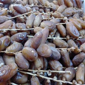 Deglet Nour Tunisia hight Quality perfect Price - roasted seeds and nuts  we export hight quality dates  deglet nour (cat1) ---- in branches 1kg 2kg 5kg--- without branches (bulk) 1kg 2kg 5kg--- ravier 250g 500g---pitted 250g 500g--  i would like to give you an idea about our activity.--  we cooperate directly with farms. we control harvesting,  packaging(by our own team)