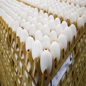 Poulets de chairs et Oeufs ! - viandes et oeufs nous sommes a la recherche d'une bonne stratégie a mettre en oeuvre pour parvenir a vendre minimum 100 poulets/mois et 100 tablettes d’œufs ou plus sur un mois.--nous sommes a disposition pour d'éventuels conseils concernant les domaines- technique de vente/commercialisation,   ma