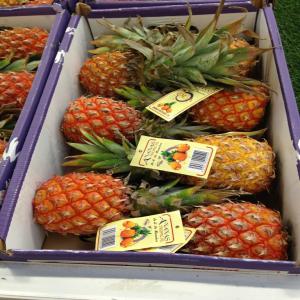 Ananas 100% - fruits et légumes nous offrons de l'ananas (pain de sucre et cayenne lisse) 100% naturel produits au bénin.--nous sommes une société de commerce et pouvons vous livrer dans n'importe quel pays du monde.