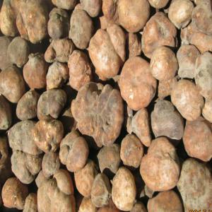 desert truffle - other our company in turkey is supplier of desert truffle(brown and white) in best quality and any quantity you need and less price.-- origin of our product is iran--kindly for order contact me 