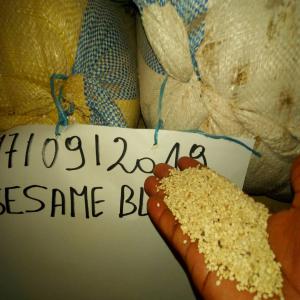 VENTE SESAME BLANC ET BIGARRE  - fruits secs et graines grillées nous disposons d'une très grande quantité de sesame blanc et bigaree en vente origine burkina faso a un prix raisonnable selon la quantité souhaitée par l'acheteur ... expédition direct dans le pays de l'acheteur via le port de togo,  abidjan,  bénin , tema gha