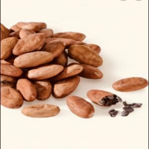 Vente du bon cacao africain (Cameroun) - café cacao thé bonjour, --je suis propriétaire de champs de cacao depuis plus de 10 ans au cameroun. je cherche une personne intéressée pour l’achat de ce cacao bien soigné dont j’ai bénéficié du savoir faire de mes grands parents !--cordialement 