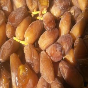 deglete NOUR choix 1 - fruits et légumes notre dattes est de choix 1 ,  vente minimum 1 tonne.---------------------our dates are of choice 1,  minimum sale 1 ton.