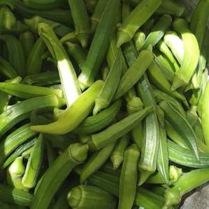 Gombo frais /Okra - fruits et légumes pour vos besoin en gombo frais (okra),  veuillez nous contacter. nous pouvons produire en fonction de vos besoin.--nous sommes basés au ghana.----merci