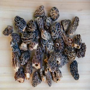 Morilles et champignons séchés + conserves - champignon levure bonjour, --nous importons et revendons en france et à l'étranger toutes sortes de champignons sauvages déshydratés. morilles de patagonie,  canada,  inde,  cèpes de macédoine et d'europe de l'est,  girolles de russie ou encore mousserons,  trompettes de la mort,  a