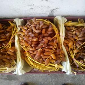 dattes deglet nour - fruits et légumes vend 6 tonnes de dattes deglet nour arjoune entier. origine tolga biskra. bonne qualité. conditionnée dans des caisses. disponible pour enlèvement ilmédiat.