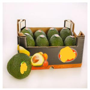 avocat bio - fruits et légumes vente d'avocat par calibre en boite de 4kg,  avocats bio et conventionnels d origine espagne nous recherchons des clients grossistes sur tout le territoire français et les commandes sont passées par conteneur