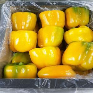 offer pepper ; vente du poivron - fruits et légumes we can offer to you pepper/californie origine morocco .--size - p;m;g;gg . packing in wood or carton for all distinations .--waiting your comment.--nous pouvons vous offrir du poivre/californie origine maroc.--taille- p;m;g;gg. emballage en bois ou carton pour toutes les distillations.--en attendant