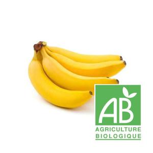 Bananes bio - fruits et légumes je cherche producteur de bananes bio,  à partir du 1er septembre.--livraison d'environ 10 tonnes par semaine +|- 40 fois par an.--recherche collaboration durable.--