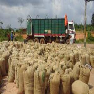 Café cacao ci - café cacao thé bonjour monsieur  je suis responsable d’une coopérative agricole en côte d’ivoire  (coups-foundara) précisément dans la région du guémon nous basé à l’achat du café cacao et la noix de cajou, nous encadrons plus de 1300 planteur . et nous 