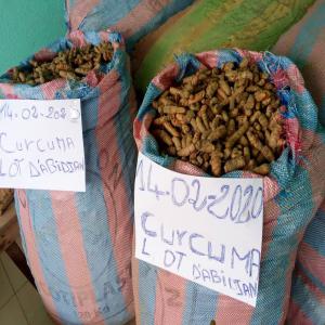 Vente de Curcumas - fruits et légumes bonjour!----plus de 10 tonnes de curcuma frais en vente en locaux magasin à abidjan.----potentiels acheteurs,  cette annonce est la vôtre!----vous pouvez vous en procurer en nous contactant à nos différentes coordonnées.