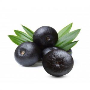 Distributeur d'açai bio congelé - fruits et légumes notre entreprise distribue sur le marché européen un produit nutritionnel de qualité - la baie d'açai du brésil (sous forme de pulpes congelées et de sorbets). notre activité est effectuée dans le respect des personnes et de l'environnement----