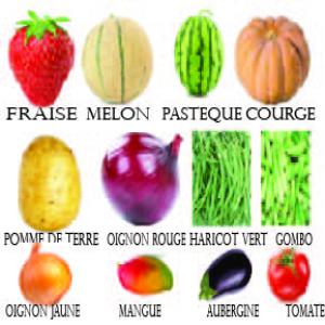 FOURNISSEUR DE FRUITS ET LÉGUMES