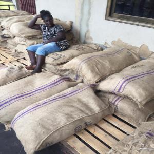 Recherche Acheteurs sac de jute - conditionnement nous avons un stock limité de sac de jute à cotonou. veuillez nous contacter si vous etes intéressé. merci