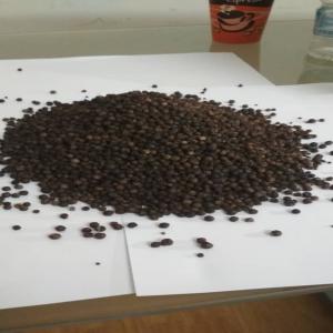 Dried peppercorns - fruits and vegetables ivoire consommables offers the following---products- dried peppercorns--quantity- 100kg per month--packaging- 25 kg bag--black color