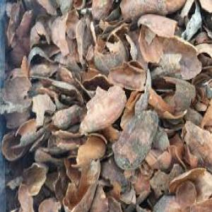 VENTE COQUE DE CACAO / COCOA SHELL FOR SALE - aliments pour animaux coque de cacao disponible en vente--      pour aliment de bétail --      et fabrication d' ancrais --------------------------------------------cocoa shell available for sale--     used for animal food 