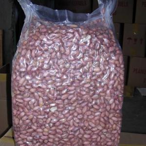 Peanut Java and Red Seed - roasted seeds and nuts - java peanut available in sizes 40/50/60/70/80/90.--- red seed type peanut available in 60/70/80/90 sizes.----25 kg bag format,  vacuum packed,  which is recommended to prevent moisture and insects.