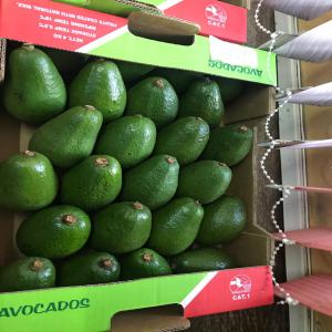 AVOCATS FUERTE KENYA - fruits et légumes avocats fuerte origine kenya / catégorie i,  calibres 14 à 24,  avec gros du volume compris entre 20 et 24 / colis de 4kg net / certifié globalgap / livraison par avion